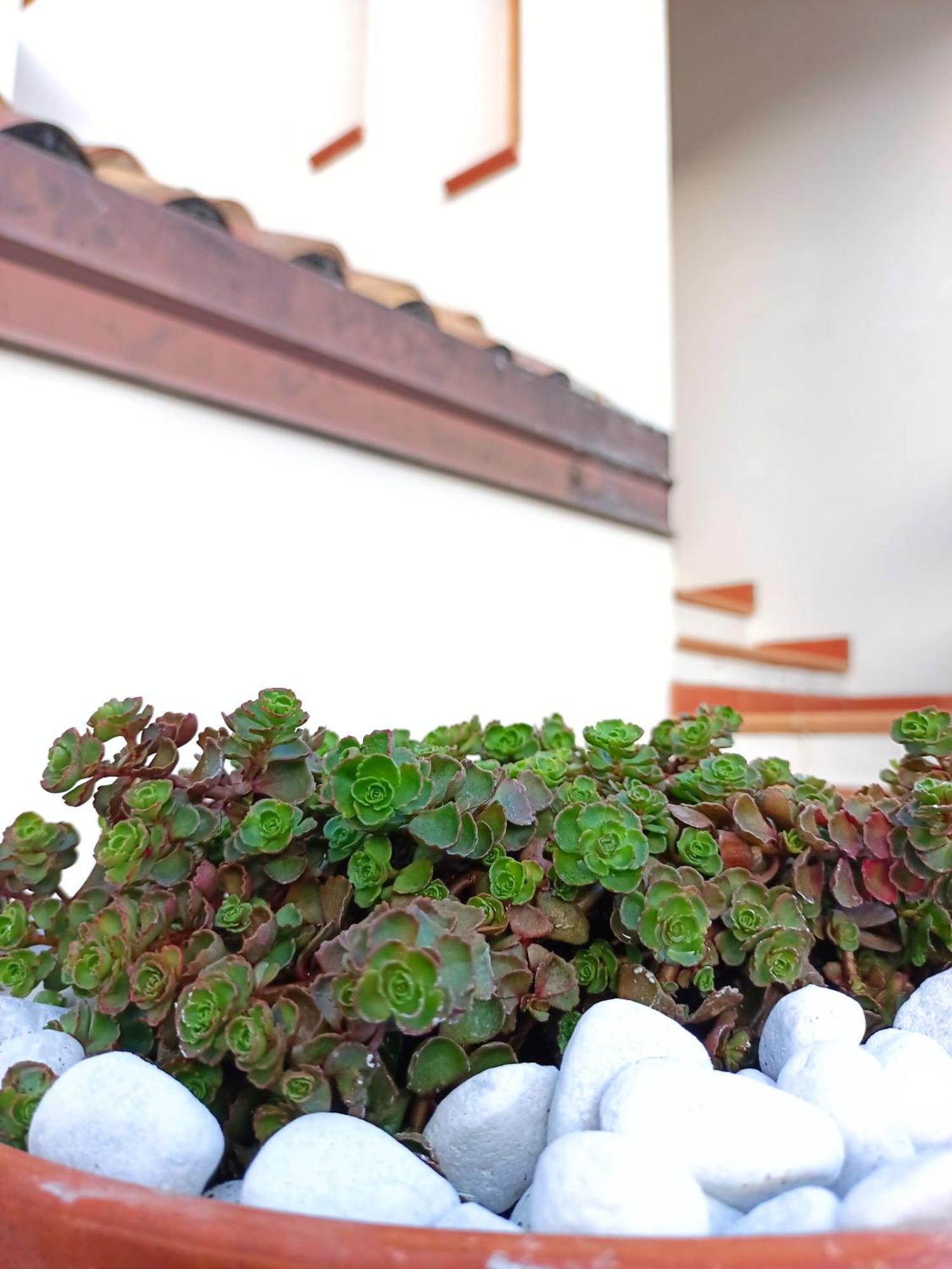 Le Sorgenti Guest House Ilbono Zewnętrze zdjęcie
