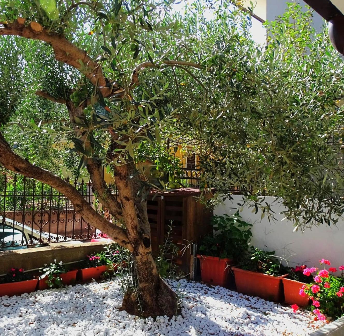 Le Sorgenti Guest House Ilbono Zewnętrze zdjęcie