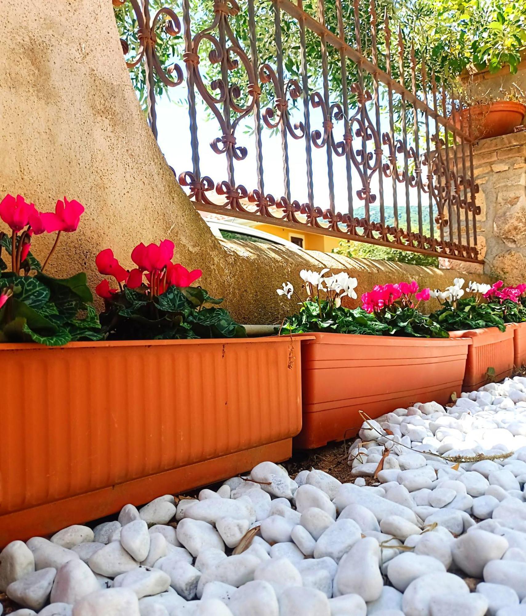 Le Sorgenti Guest House Ilbono Zewnętrze zdjęcie